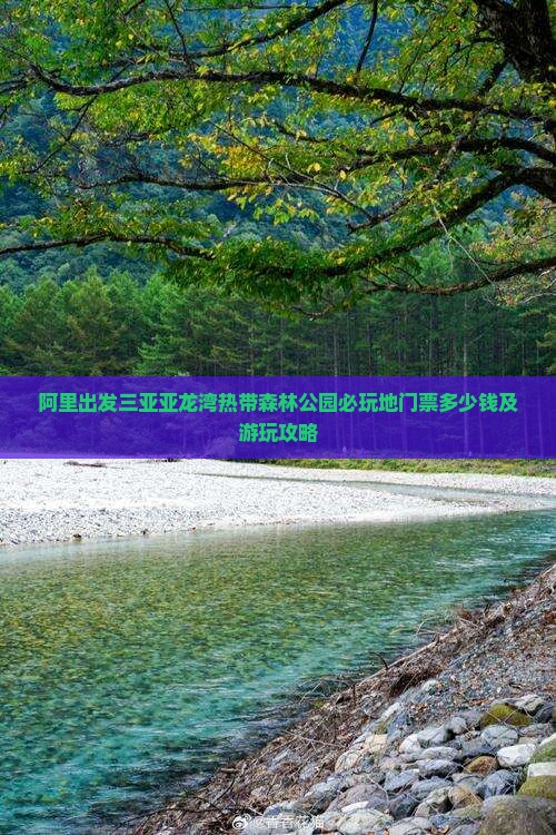 阿里出发三亚亚龙湾热带森林公园必玩地门票多少钱及游玩攻略