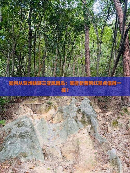 如何从贺州畅游三亚凤凰岛：哪些新晋网红景点值得一探？