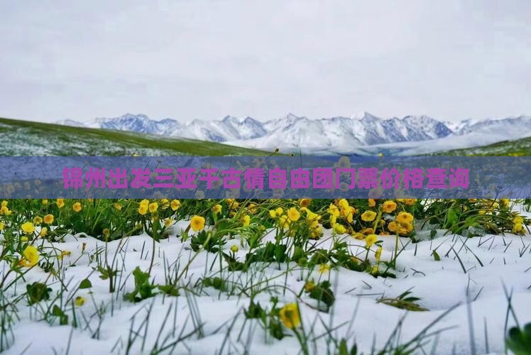 锦州出发三亚千古情自由团门票价格查询