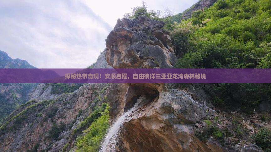 探秘热带奇观！安顺启程，自由徜徉三亚亚龙湾森林秘境