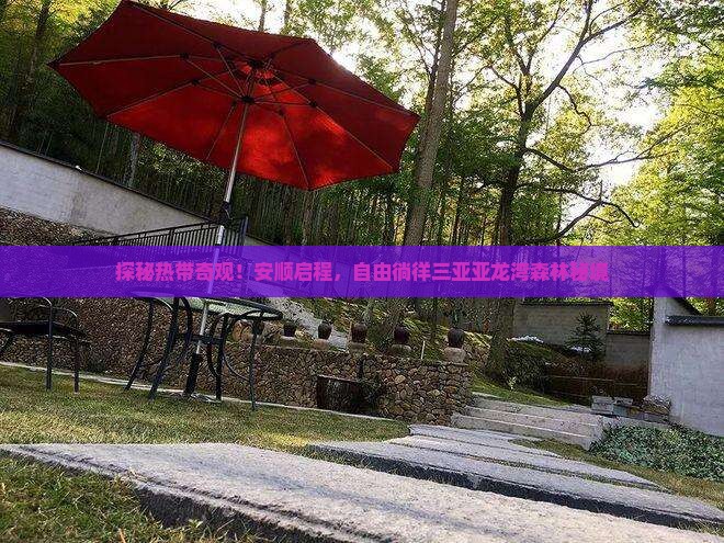 探秘热带奇观！安顺启程，自由徜徉三亚亚龙湾森林秘境