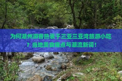 为何湖州游客热衷于三亚三亚湾旅游小吃？当地美食痛点与潮流新词！