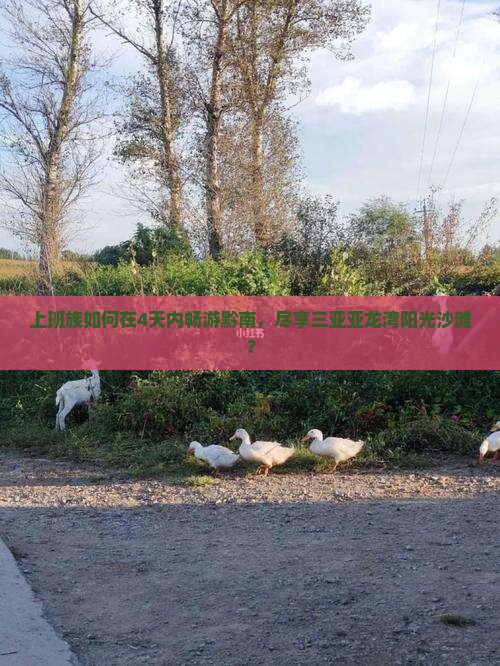 上班族如何在4天内畅游黔南，尽享三亚亚龙湾阳光沙滩？