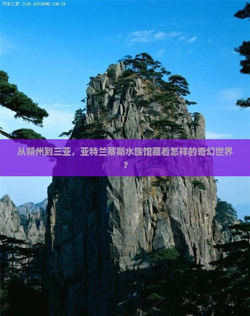 从朔州到三亚，亚特兰蒂斯水族馆藏着怎样的奇幻世界？