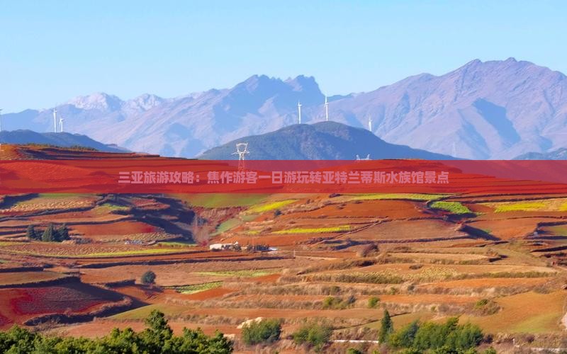 三亚旅游攻略：焦作游客一日游玩转亚特兰蒂斯水族馆景点