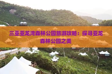 三亚亚龙湾森林公园旅游攻略：探寻亚龙森林公园之美