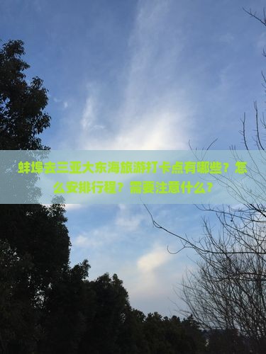 蚌埠去三亚大东海旅游打卡点有哪些？怎么安排行程？需要注意什么？