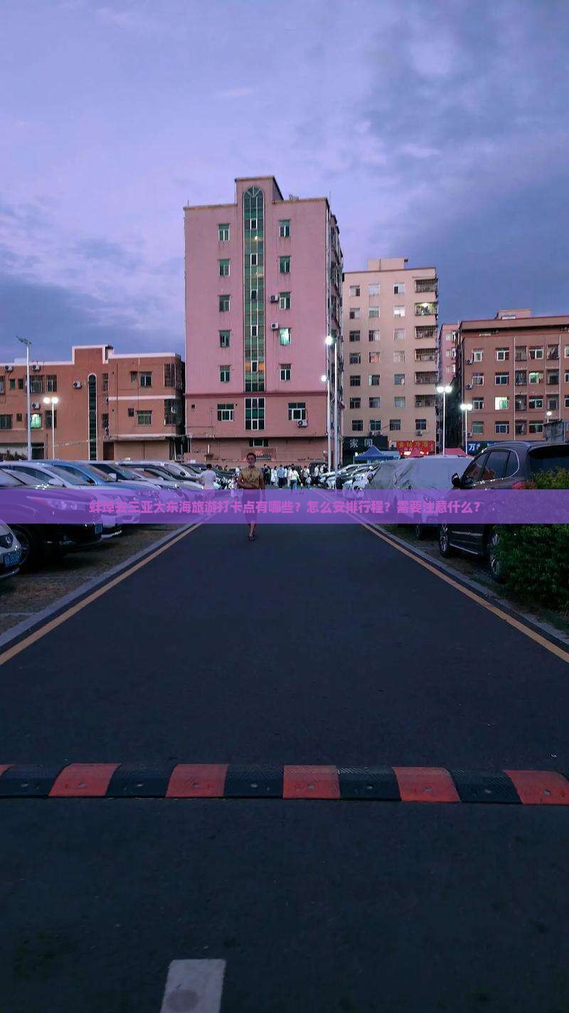 蚌埠去三亚大东海旅游打卡点有哪些？怎么安排行程？需要注意什么？