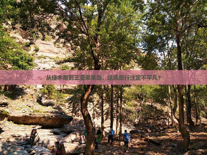 从佳木斯到三亚呆呆岛，这场旅行注定不平凡？