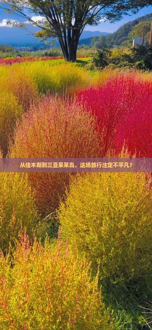 从佳木斯到三亚呆呆岛，这场旅行注定不平凡？