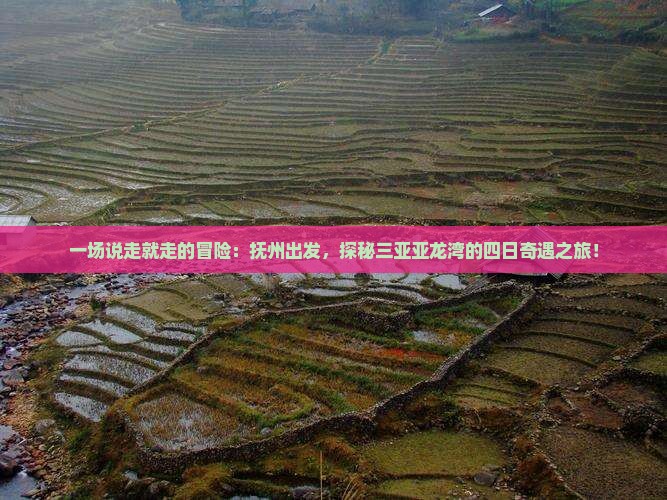 一场说走就走的冒险：抚州出发，探秘三亚亚龙湾的四日奇遇之旅！