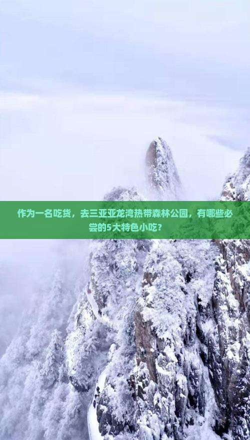 作为一名吃货，去三亚亚龙湾热带森林公园，有哪些必尝的5大特色小吃？