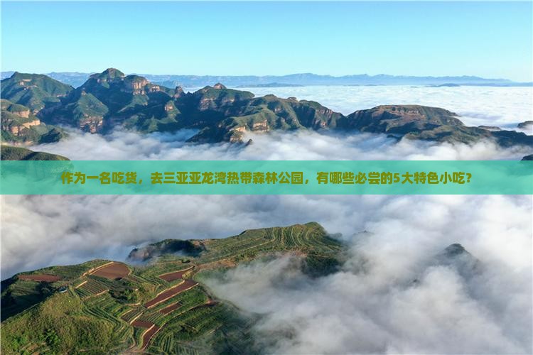 作为一名吃货，去三亚亚龙湾热带森林公园，有哪些必尝的5大特色小吃？