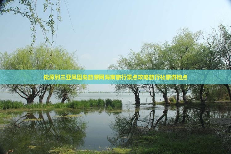 松原到三亚凤凰岛旅游网海南旅行景点攻略旅行社旅游地点
