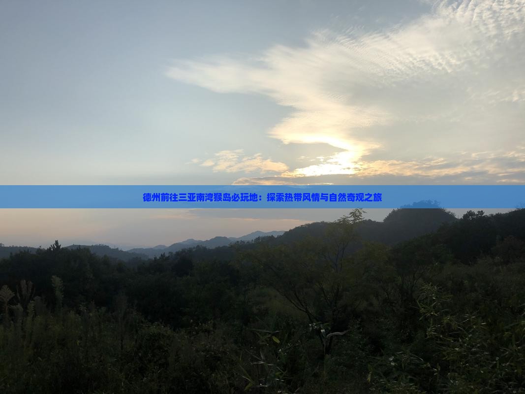 德州前往三亚南湾猴岛必玩地：探索热带风情与自然奇观之旅