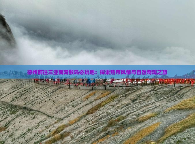 德州前往三亚南湾猴岛必玩地：探索热带风情与自然奇观之旅