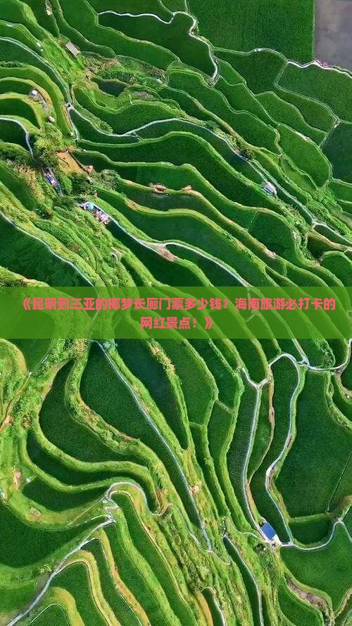 《昆明到三亚的椰梦长廊门票多少钱？海南旅游必打卡的网红景点！》