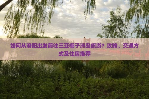 如何从洛阳出发前往三亚椰子洲岛旅游？攻略、交通方式及住宿推荐