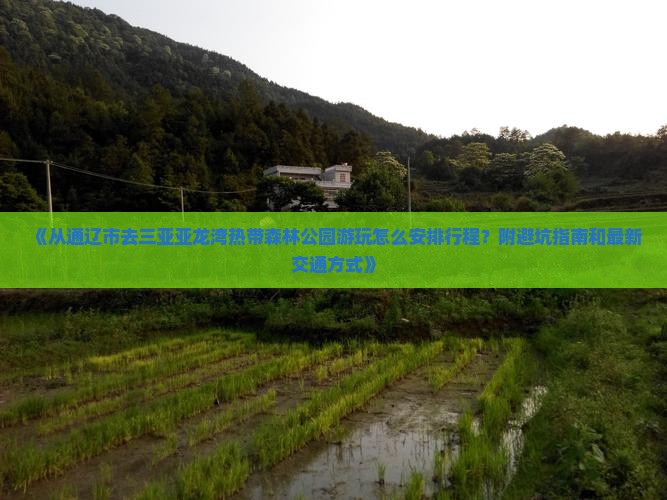 《从通辽市去三亚亚龙湾热带森林公园游玩怎么安排行程？附避坑指南和最新交通方式》
