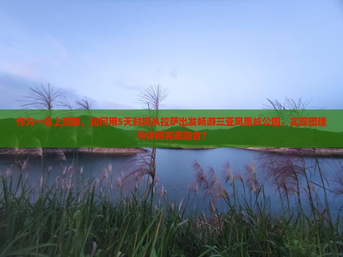 作为一名上班族，如何用5天时间从拉萨出发畅游三亚凤凰岭公园，实现团建与休闲完美融合？