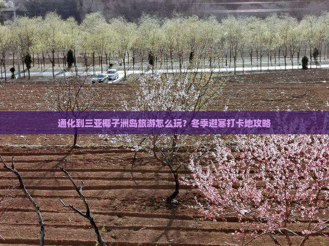 通化到三亚椰子洲岛旅游怎么玩？冬季避寒打卡地攻略