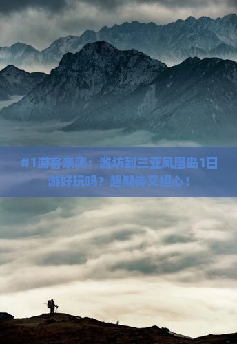 #1游客亲测：潍坊到三亚凤凰岛1日游好玩吗？超期待又担心！