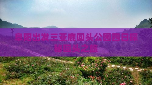 阜阳出发三亚鹿回头公园四日探秘回头之旅