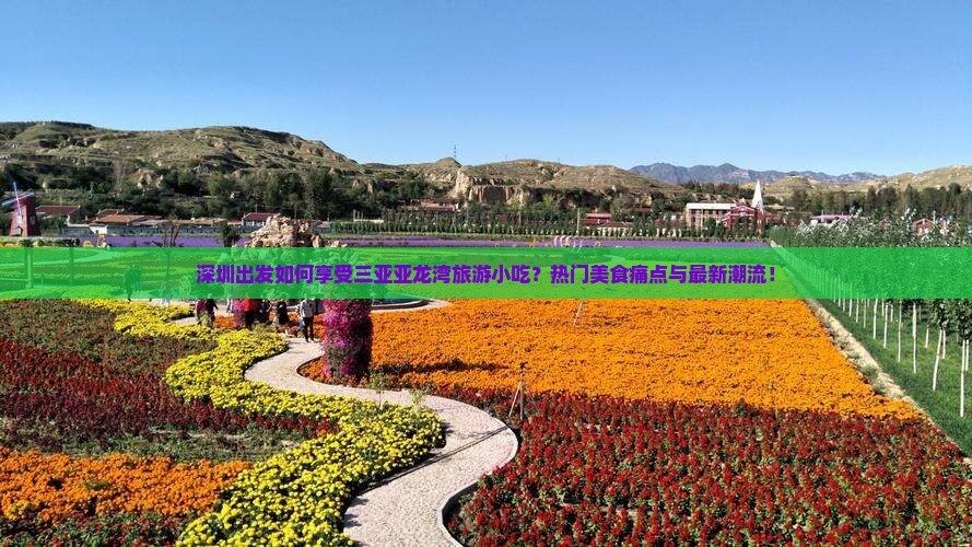 深圳出发如何享受三亚亚龙湾旅游小吃？热门美食痛点与最新潮流！