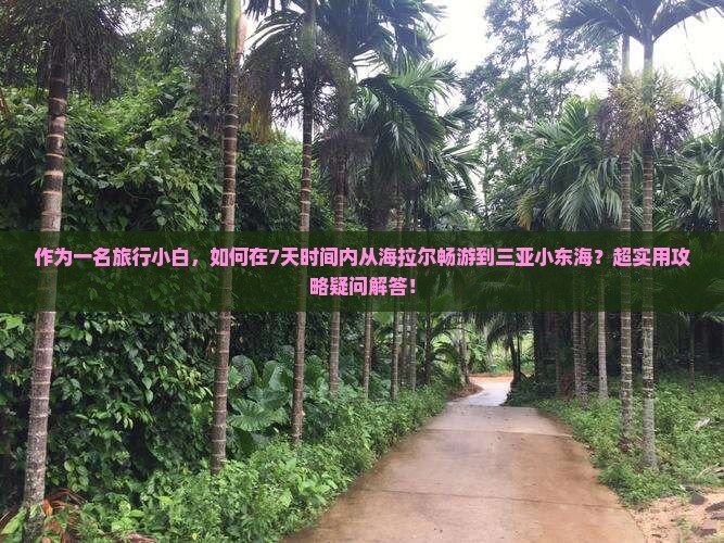 作为一名旅行小白，如何在7天时间内从海拉尔畅游到三亚小东海？超实用攻略疑问解答！