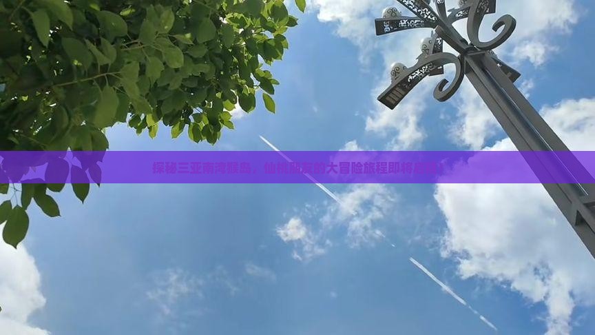 探秘三亚南湾猴岛，仙桃朋友的大冒险旅程即将启程！