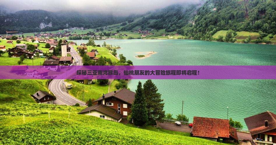 探秘三亚南湾猴岛，仙桃朋友的大冒险旅程即将启程！