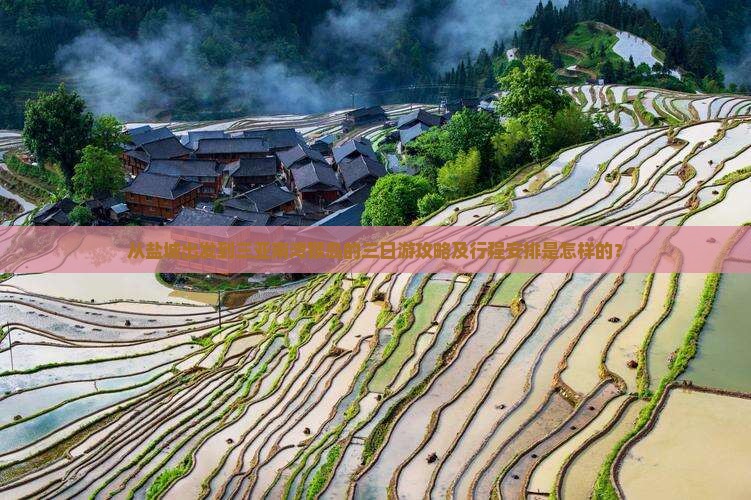 从盐城出发到三亚南湾猴岛的三日游攻略及行程安排是怎样的？