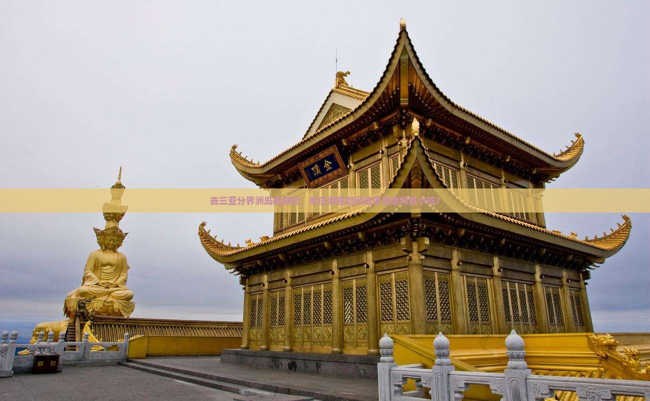 去三亚分界洲岛旅游时，枣庄游客如何选择当地特色小吃？