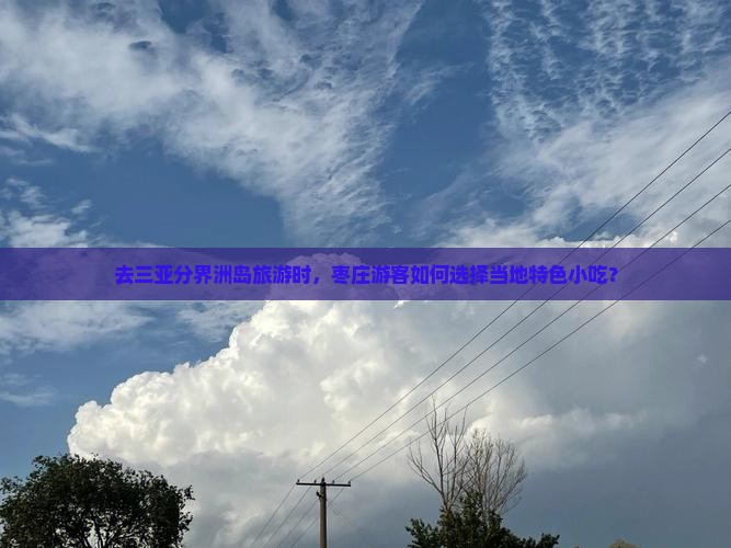 去三亚分界洲岛旅游时，枣庄游客如何选择当地特色小吃？