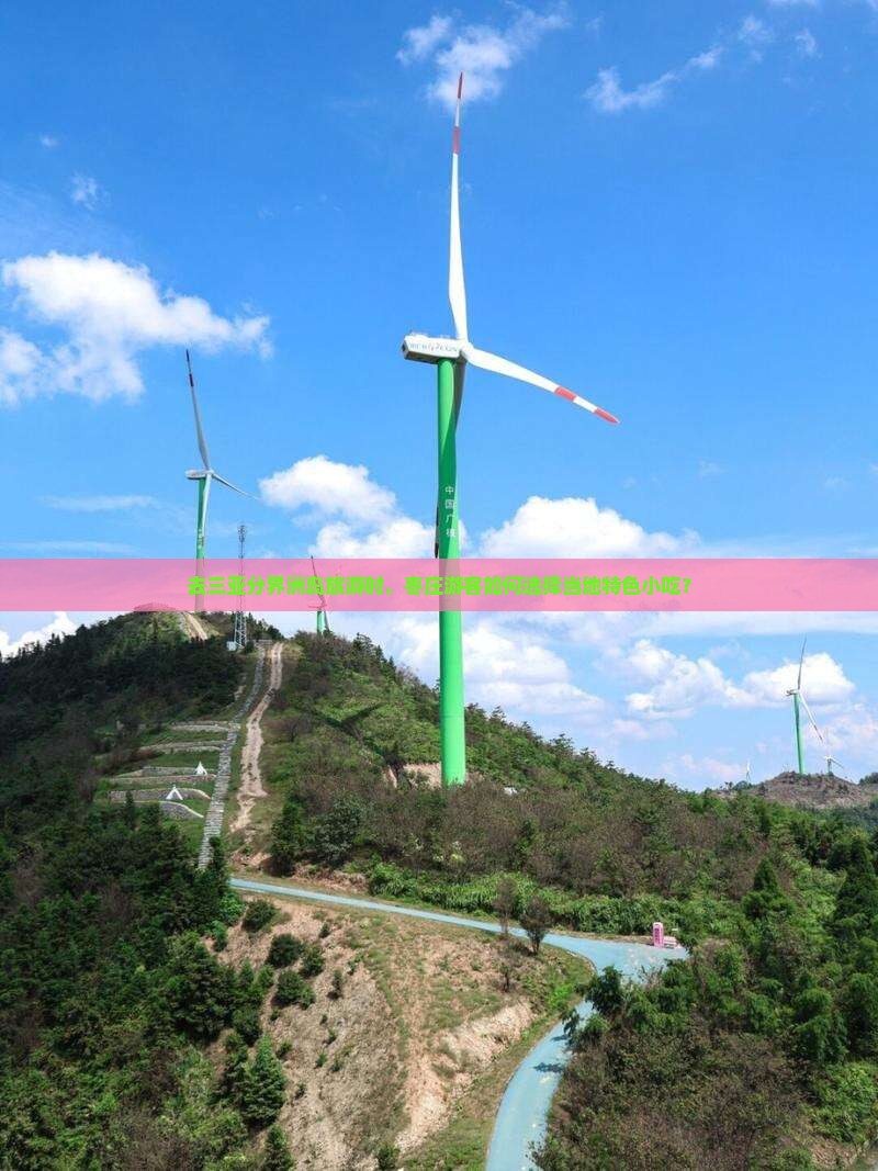 去三亚分界洲岛旅游时，枣庄游客如何选择当地特色小吃？