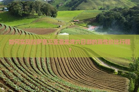 如何实现拉萨至三亚亚龙湾六日游的高性价比行程？