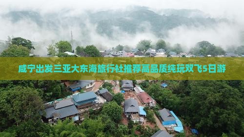 咸宁出发三亚大东海旅行社推荐高品质纯玩双飞5日游