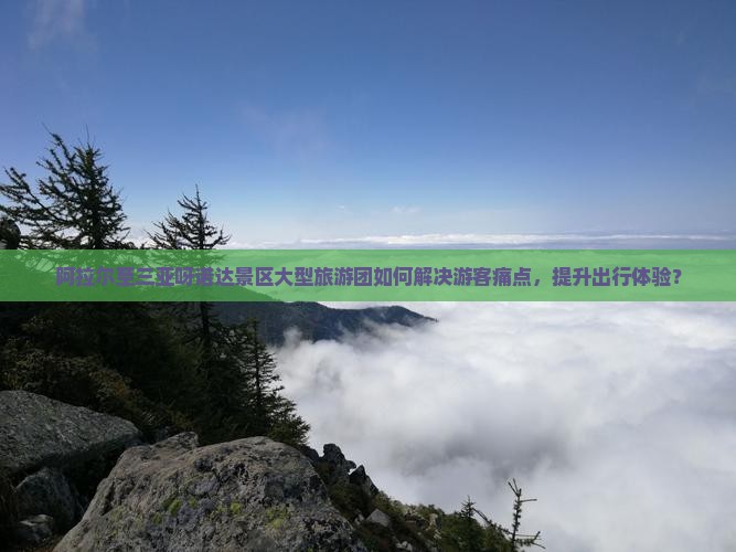 阿拉尔至三亚呀诺达景区大型旅游团如何解决游客痛点，提升出行体验？