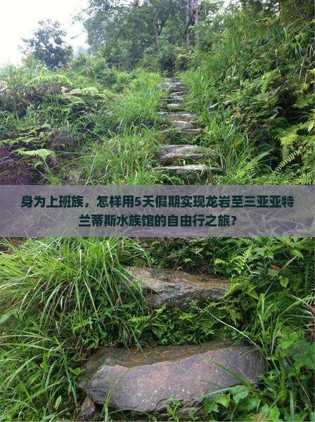 身为上班族，怎样用5天假期实现龙岩至三亚亚特兰蒂斯水族馆的自由行之旅？