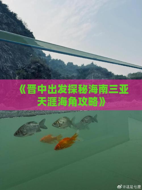 《晋中出发探秘海南三亚天涯海角攻略》