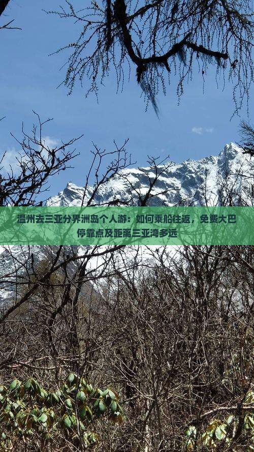 温州去三亚分界洲岛个人游：如何乘船往返，免费大巴停靠点及距离三亚湾多远