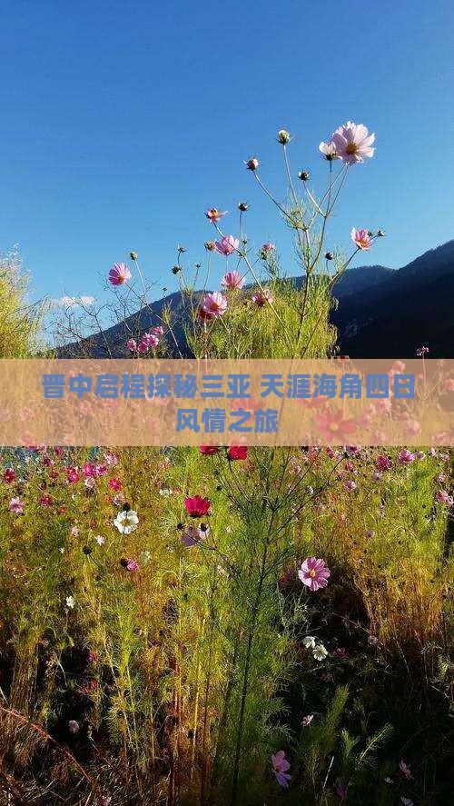 晋中启程探秘三亚 天涯海角四日风情之旅
