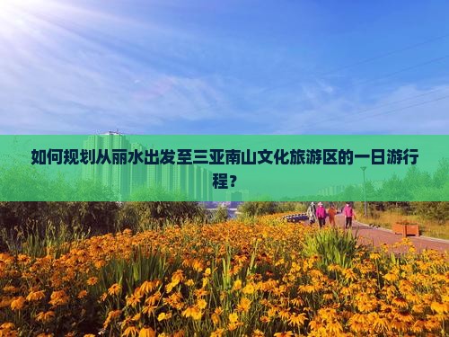 如何规划从丽水出发至三亚南山文化旅游区的一日游行程？