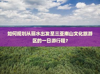 如何规划从丽水出发至三亚南山文化旅游区的一日游行程？