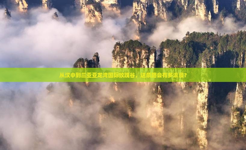 从汉中到三亚亚龙湾国际玫瑰谷，这条路会有多浪漫？