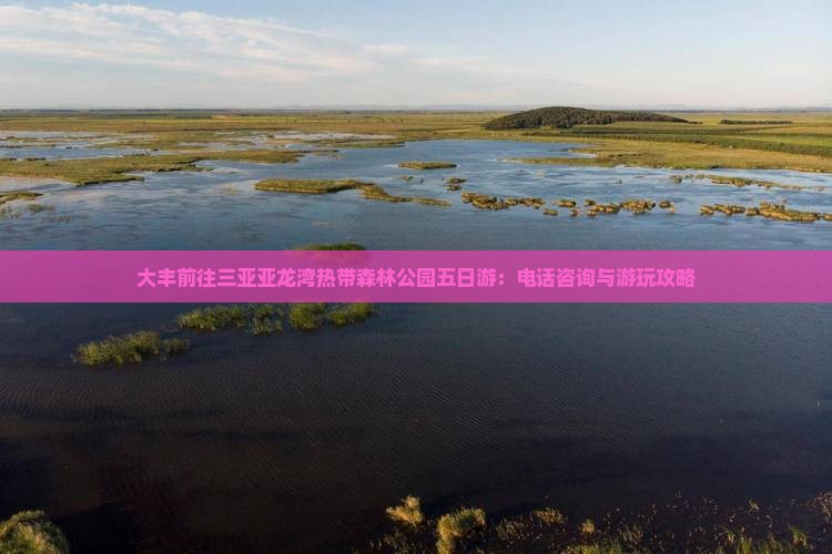大丰前往三亚亚龙湾热带森林公园五日游：电话咨询与游玩攻略