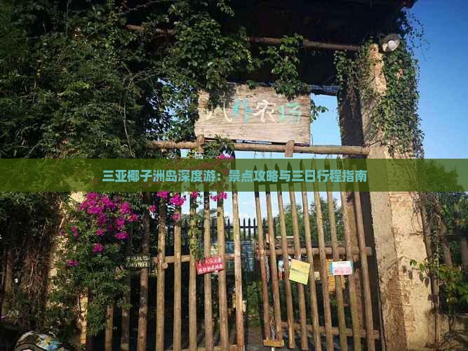 三亚椰子洲岛深度游：景点攻略与三日行程指南