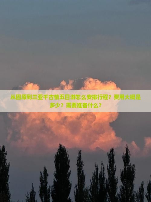 从固原到三亚千古情五日游怎么安排行程？费用大概是多少？需要准备什么？