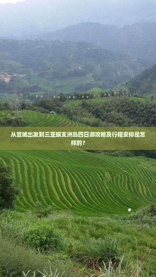 从宣城出发到三亚蜈支洲岛四日游攻略及行程安排是怎样的？