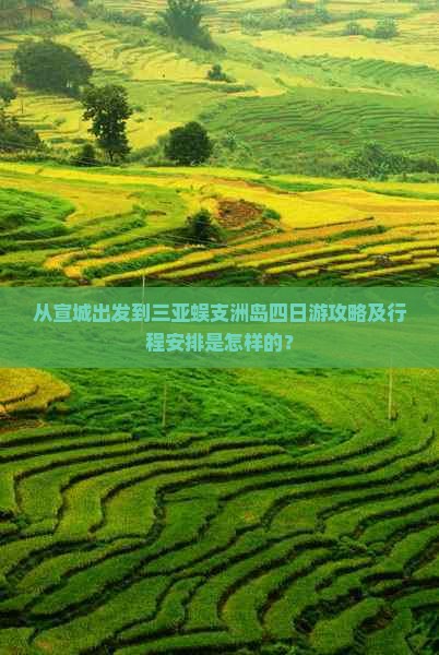 从宣城出发到三亚蜈支洲岛四日游攻略及行程安排是怎样的？